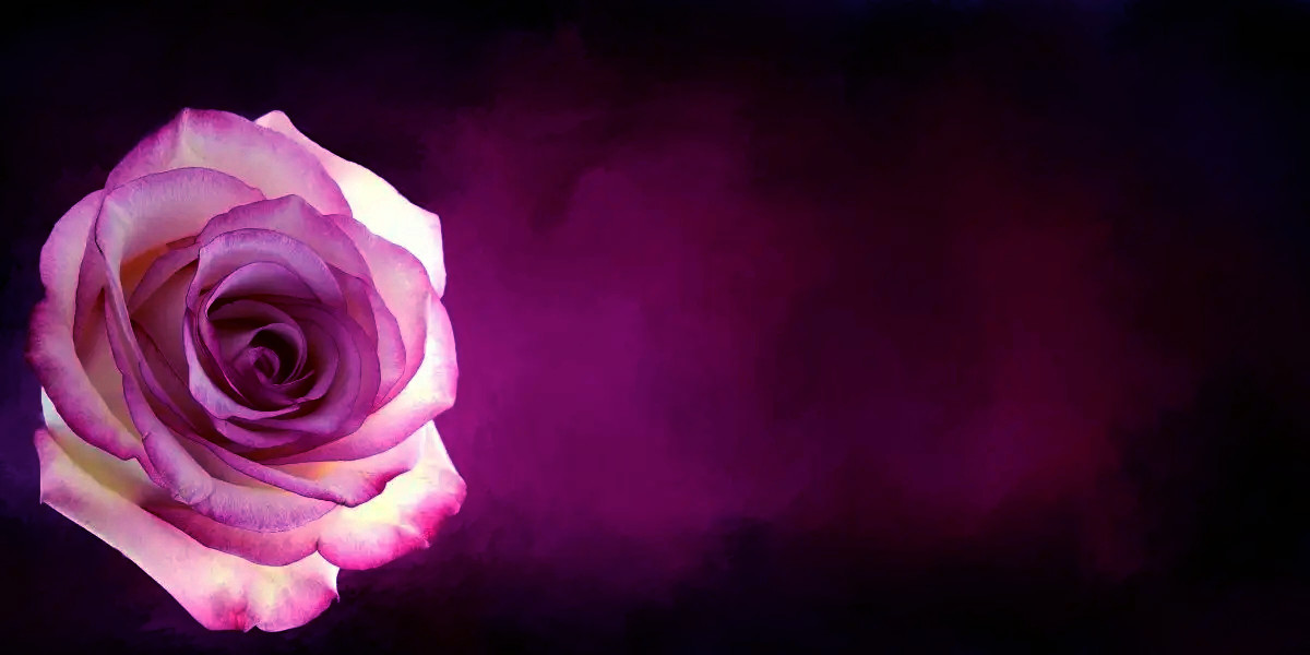 Ctrl+D收藏伊伊舞舍YIYIWUSHE.ORG